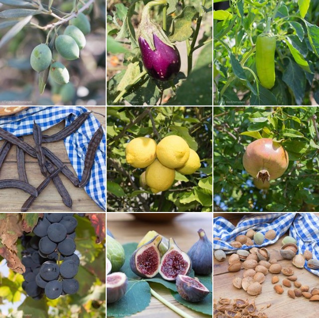 Tasty-Mediterraneo-Fruits-Legumes-Majorca