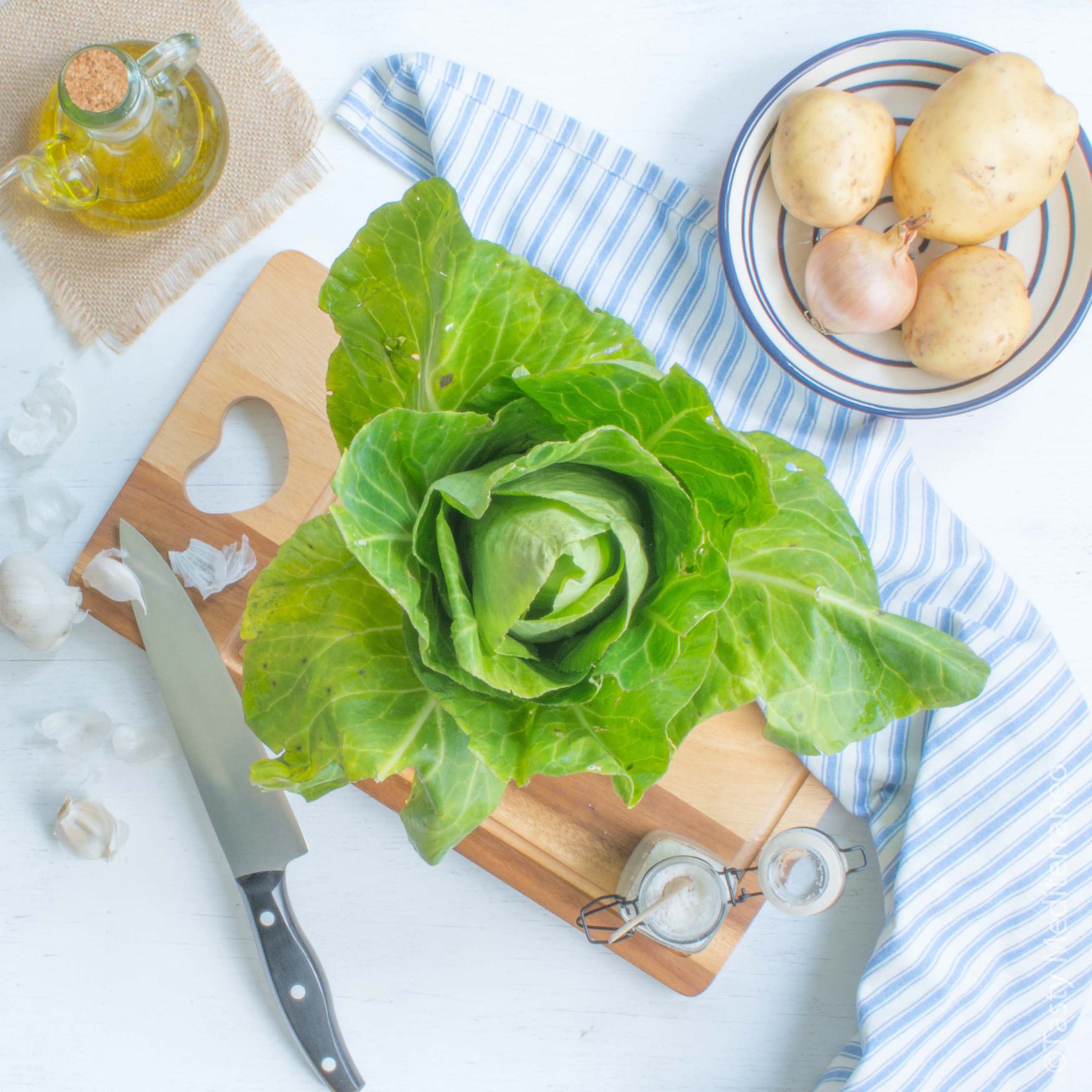 tasty-mediterraneo-cabbage-soup-ingredients